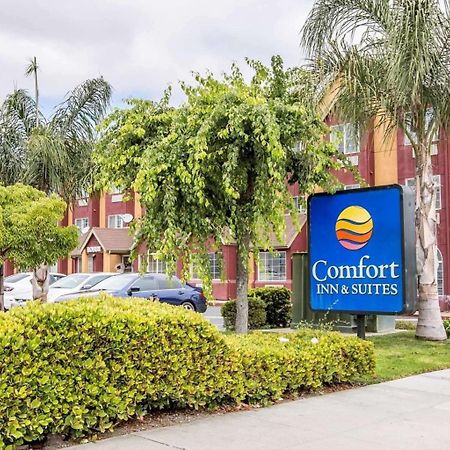 Comfort Inn & Suites Salinas Dış mekan fotoğraf